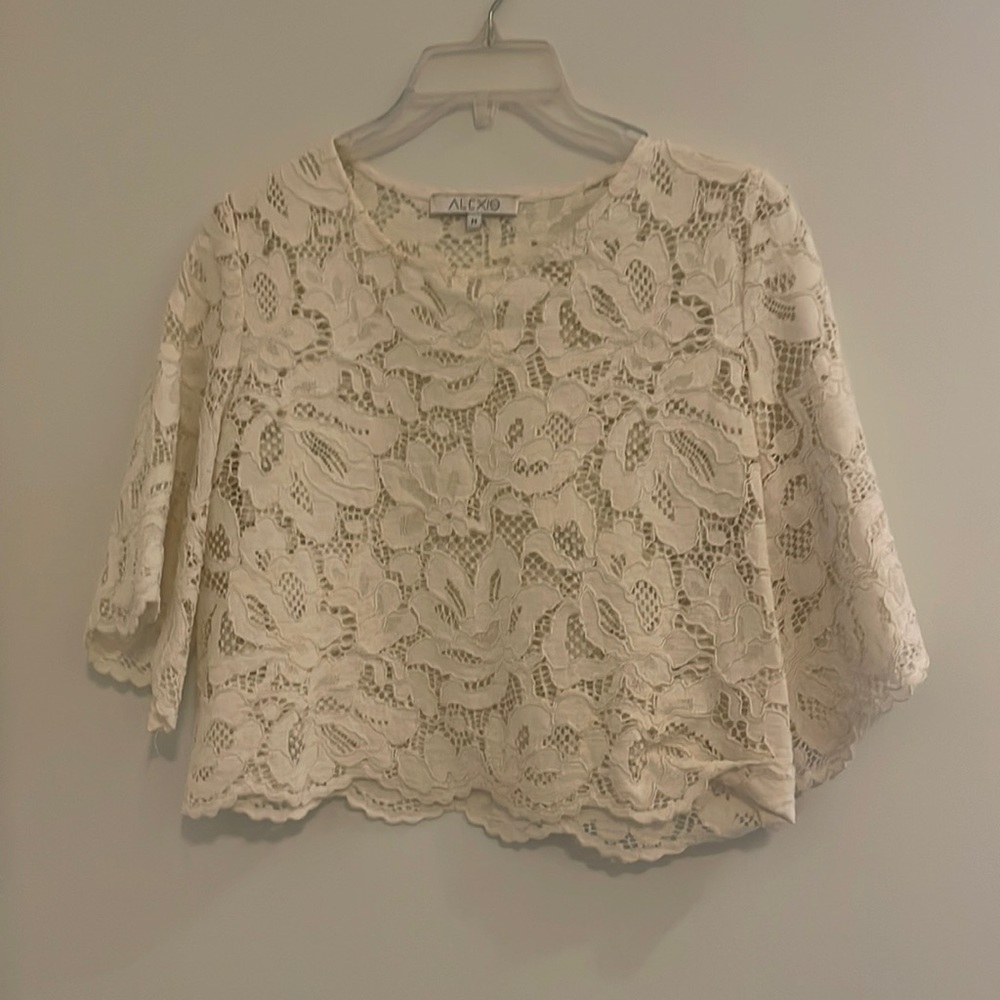 Alexis lace crop top